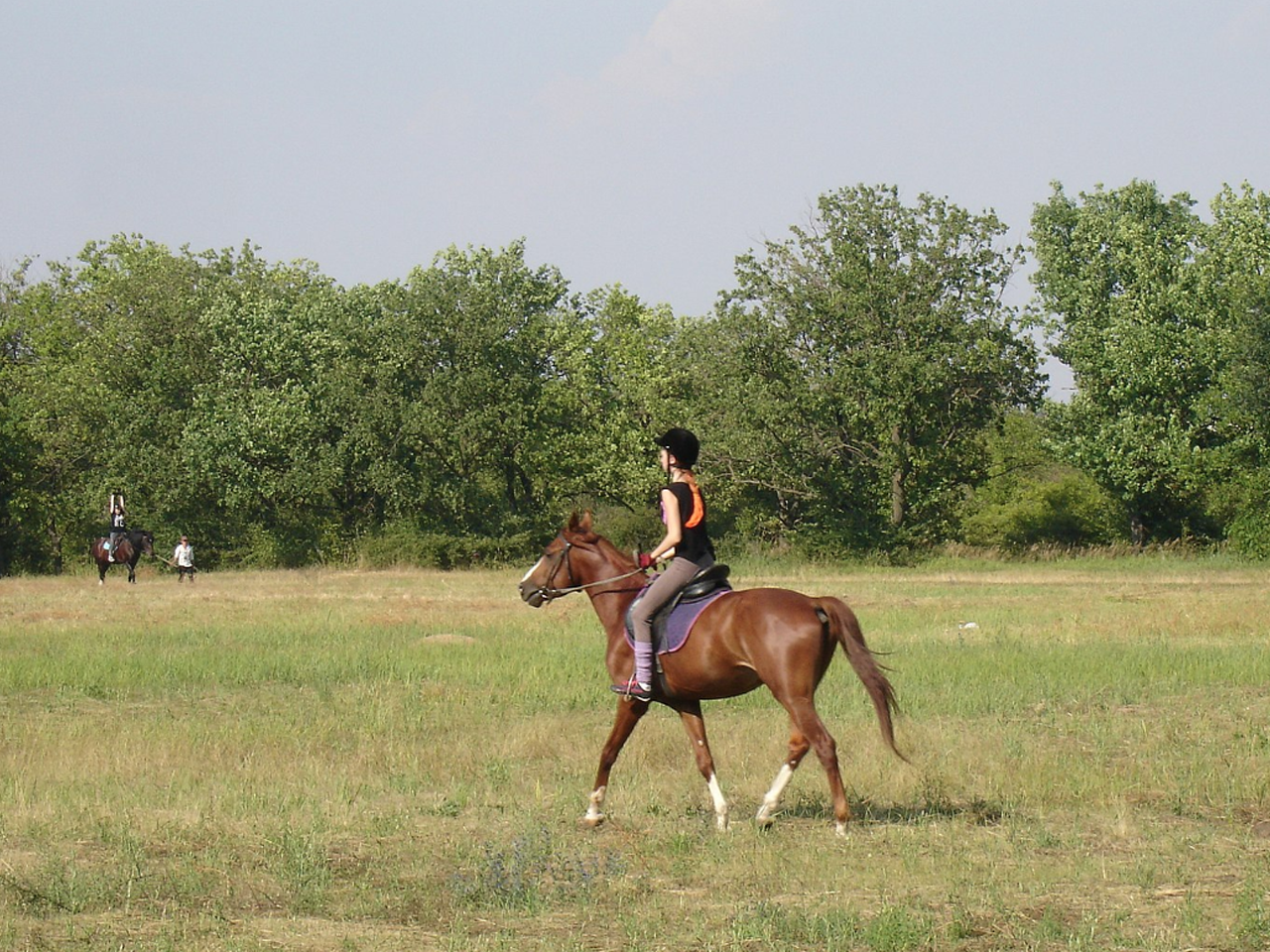 Equitation